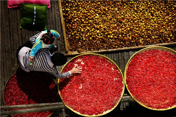 Farmers in Huangshan city dry crops and fruits in the sun in their yards, which is commonly seen in mountainous areas. (Photo: China Daily/Zhang Rongfu)