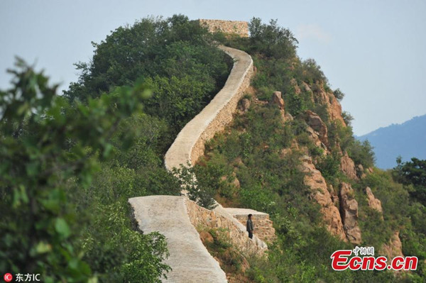 A view of a renovated section of the Great Wall in Suizhong County, Northeast China's Liaoning Province. Known as Xiaohekou Great Wall, original construction started on the section in 1381 during the Ming Dynasty. Many have questioned the renovation as it appears the broken walls were simply filled and leveled with mortar. (Photo/IC)