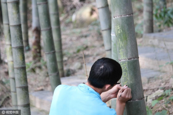 A visitor scribbles a message on bamboo at a scenic area in Qingyuan City, South China��s Guangdong Province, Oct. 7, 2016. As a management innovation, the bamboo zone at Mountain Jinzi has an area for tourists to write or draw whatever they like. (Photo/CFP)