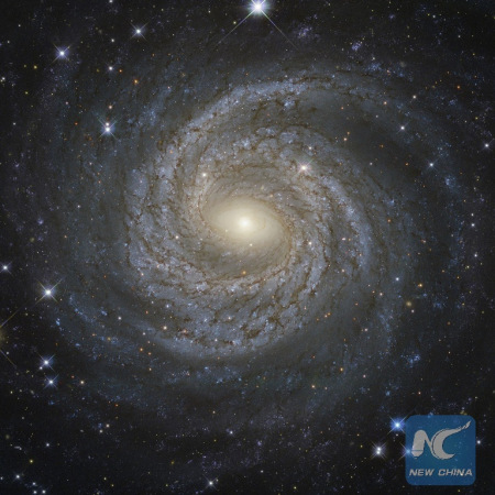 A NASA/ESA Hubble Space Telescope image shows a spiral galaxy NGC 6814, whose luminous nucleus and spectacular sweeping arms, rippled with an intricate pattern of dark dust, is a highly variable source of X-ray radiation, causing scientists to suspect that it hosts a supermassive black hole with a mass about 18 million times that of the Sun. (Courtesy of NASA)