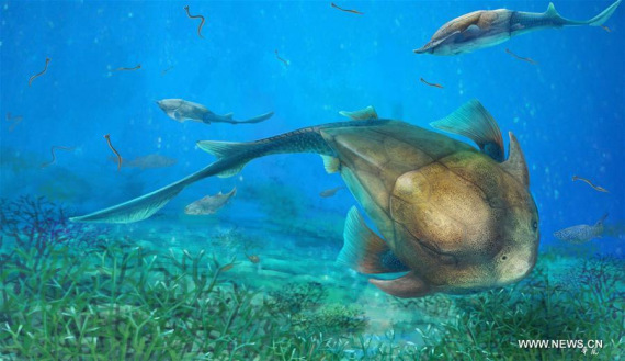 This illustration shows Qilinyu, a 423-million-year-old fish from the Kuanti Formation (late Ludlow, Silurian).   (Photo/Xinhua)