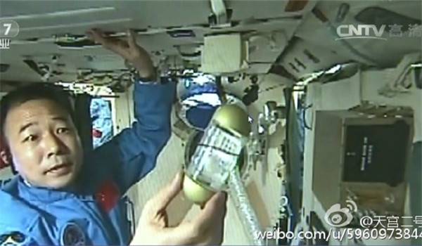 Astronaut Jing Haipeng shows the silkworm spinning in a container. (Photo from Sina Weibo)