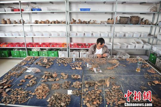 An archeologist works on the exanvigated relic pieces. (Photo/China News Service)
