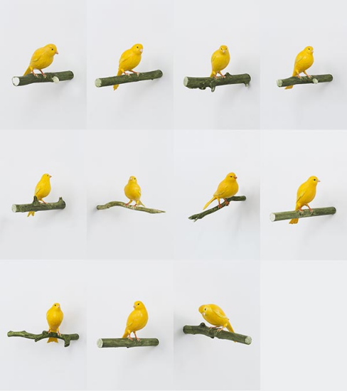 Zippy (1 Year) - Zippy (11 Years). (Photo provided to China Daily)