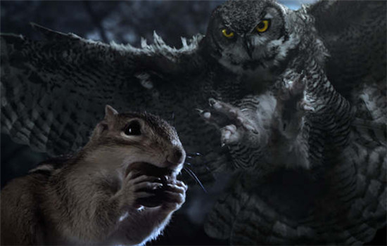 Hidden Kingdoms under Open Skies is among the nature films screened at the ongoing Earthland Wildscreen Film Festival.