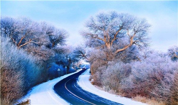 Snow-coated forests in a northern city of Inner Mongolia. Most of the areas in the region are sheathed in snow from October through May. (Photo provided to China Daily)