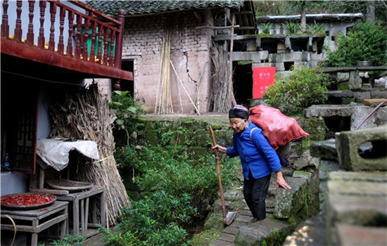 Zhao Xueyu, 87, carries a basket of sweet potatoes to her home in Yumuzhai village, Moudao.