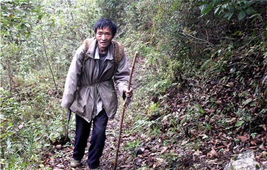 Zhang Youguang, 65, has taken care of an area of mountain forests in Puding county in Guizhou province for 43 years. (DONG XIANWU/CHINA DAILY)