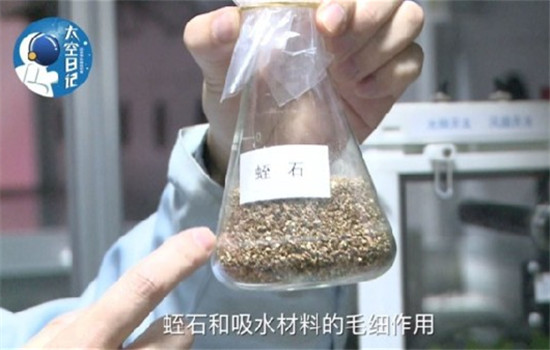 Vermiculite used to hold water.