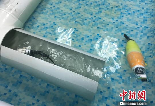 A robot fish inspects a pipeline. (Photo:Chinanews.com/Liu Yutao)