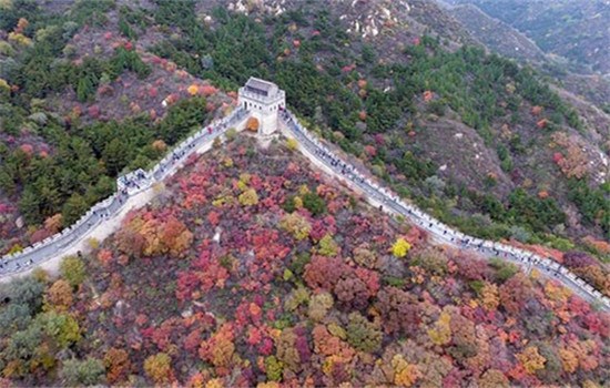 The scenery of Badaling Great Wall in autumn. (Photo/Xinhua)