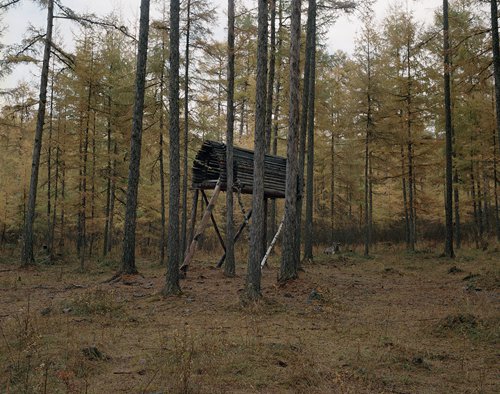 Ewenki people store their food on elevated shelves in the woods. (Photo/GT)