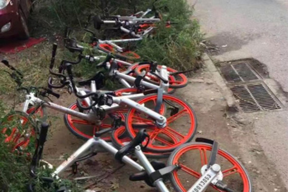 Shared bikes lying in the grass.(Photo/China Daily)