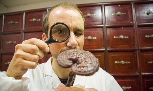 Tim Vukan, one of the growing number of foreigners who study traditional Chinese medicine in China. (Photo/Courtesy of Tim Vukan)