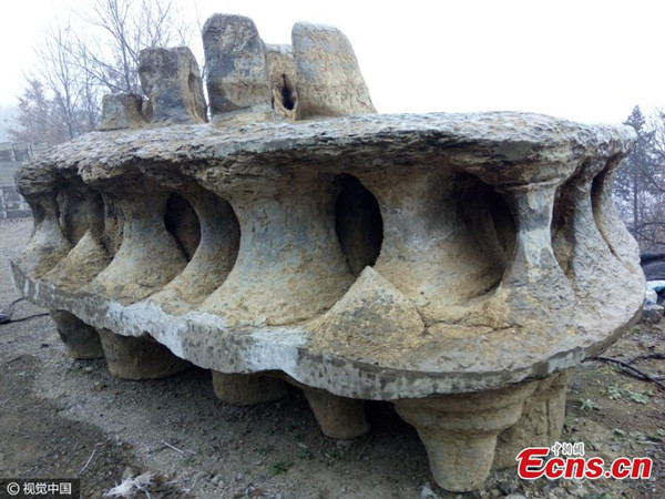 An oval stone with holes inside is on display at a village in Xiangyang City, Central Chinas Hubei Province. Local villager Xia Changjun found the basalt formation in a cave in April. (Photo/CFP)
