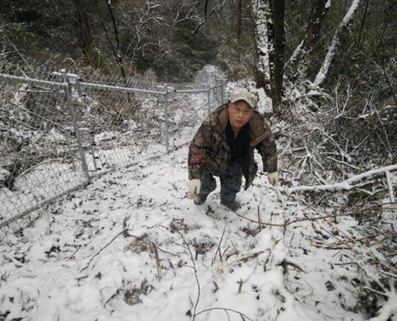 Wei Hua, a panda keeper in southwest China's Sichuan Province. (File photo)