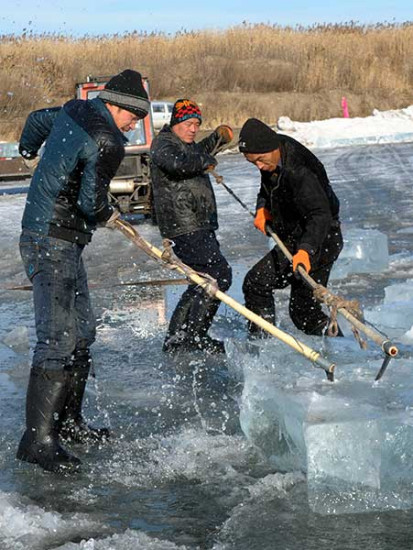 Hooks are used to drag out the ice blocks. (Photo By Zhang Qingyun / For China Daily)
