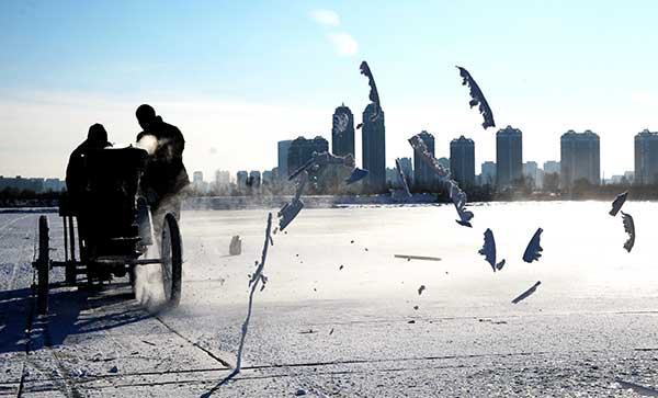 Two collectors use an electric saw to cut the ice into blocks on the frozen Songhua River. (Photo By Zhang Qingyun / For China Daily)