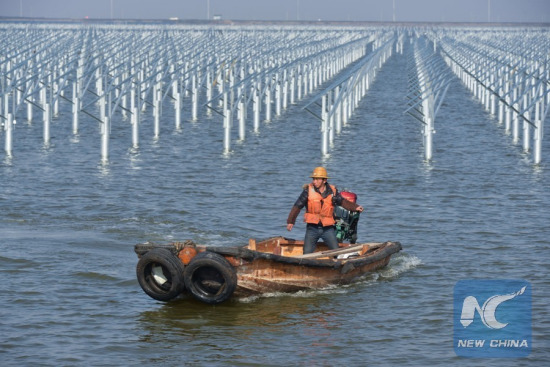 A power worker patrols in an aquaculture farm building and sharing with a solar power project in Cixi City, east China's Zhejiang Province, Dec. 24, 2016. 