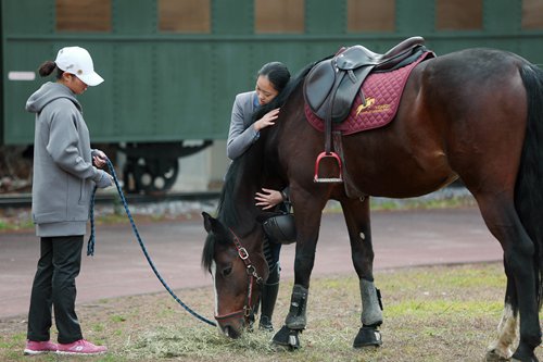 A student hugs her riding companion at a private school in Shanghai Baoshan district. The school has set up an equestrian team to popularize the sport of horse riding. (Photo/GT)