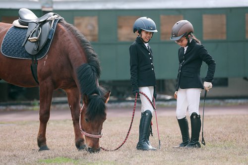 Students dressed in riding suits and equipped with riding gear prepare for their equestrian class. (Photos: Yang Hui/GT)