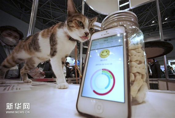 Anicall, a smartphone app developed by a Japanese company, helps understand pet's mood. (Photo/Xinhua) 