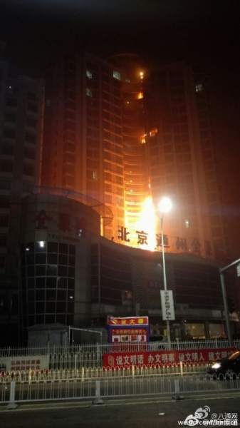 (photo from web) (photo from web)