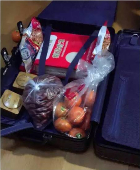 This person returned from the Spring Festival holiday with a suitcase full of Chinese dates, rice, and fruits. (Photo/Weibo account of chinanews.com)