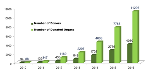 Transplants from more than four thousand donors benefited over ten thousand patients in China in 2016.(Photo/China Organ Donation Administrative Center)