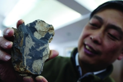 An archeologist shows a fossil found in Anji County.