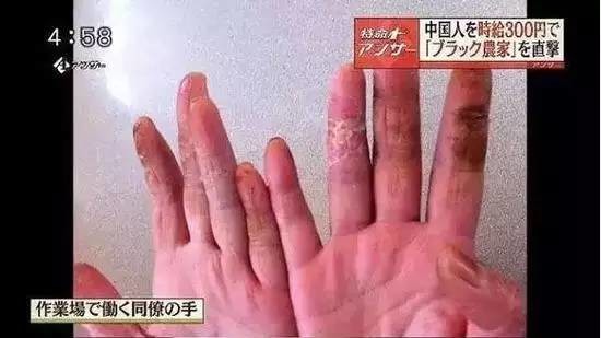 A screenshot of the TV program aired in Japan. (Photo/Weibo.com)