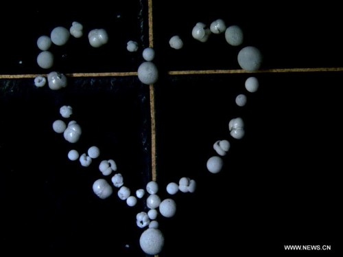Foraminifera samples drilled from the seafloor of the South China Sea are seen under the microscope on the U.S. drilling ship JOIDES Resolution, Feb. 16, 2017. Dozens of scientists from different countries are on an expedition to the South China Sea, to explore the formation of the sea as part of the International Ocean Discovery Program (IODP). (Xinhua/Zhang Jiansong)