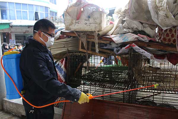 A worker disinfects poultry cages at a market in Suichuan county, Jiangxi province, on Sunday. The county has ordered the closure of local poultry markets from Saturday to March 10. (Li Jianping/For China Daily)