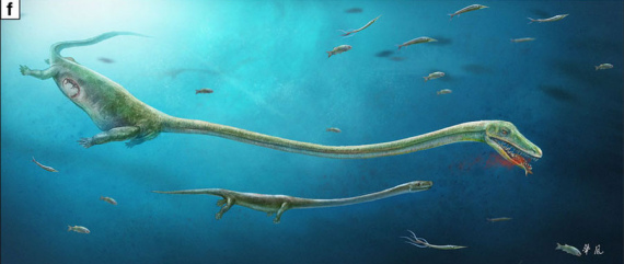 Artist's reconstruction of Dinocephalosaurus showing the rough position of the embryo within the mother. (Photo/nature.com)