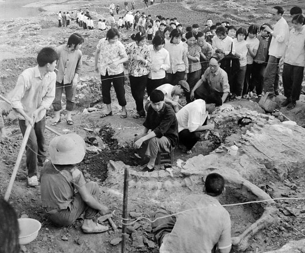 File photo provided to chinadaily.com.cn