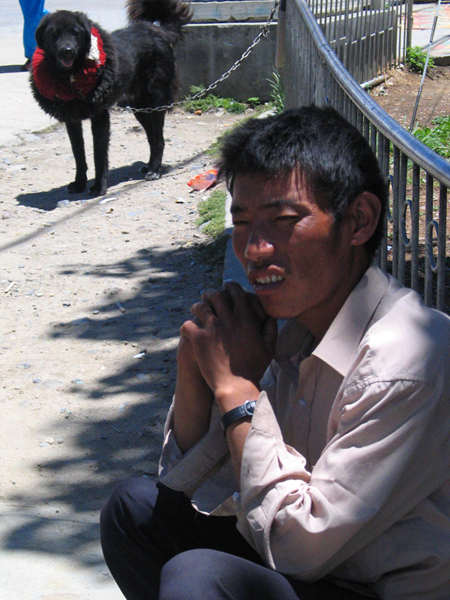 (Photo by Nan Shan/ China Daily)