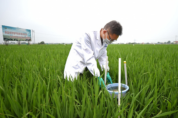 A researcher adjusts a sediment collection vessel in Changsha, Hunan province, in June, as part of efforts to monitor and restore the cadmium-tainted soil. (Photo/Xinhua)