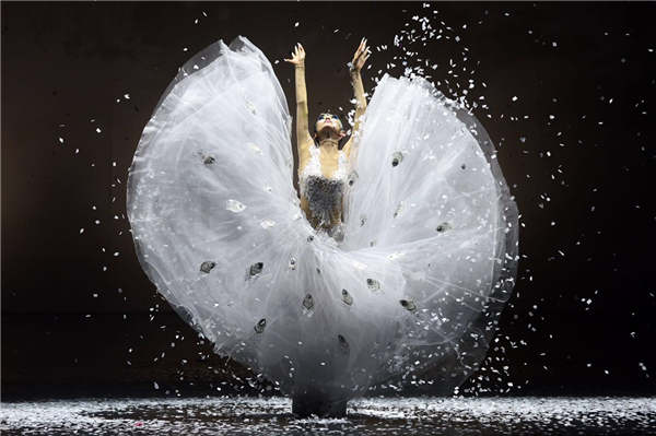 Peacock of Winter, choreographer-dancer Yang Liping's latest production, is the artist's reflection on life.