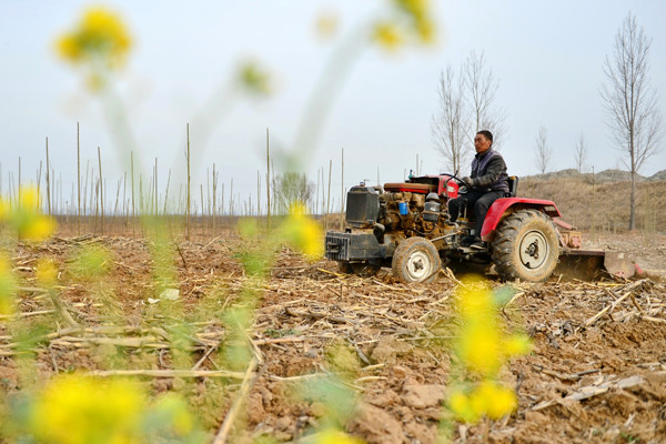 A farmer plows farmland in a village in Hebei province, March 14, 2017. (Photo/Xinhua)