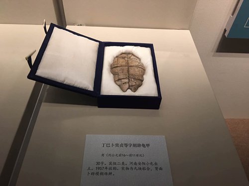 A turtle shell used for divination ceremonies during the Shang Dynasty (1046-771BC) (Photo: Li Jingjing/GT)
