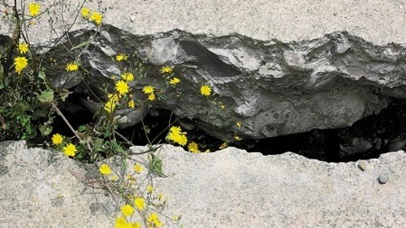 China Insurance Regulatory Committee and China Earthquake Administration signed a strategic cooperation agreement in Beijing on Thursday to promote and establish an earthquake catastrophe insurance system featuring Chinese characteristics. (Photo/CGTN)