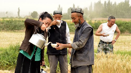 A Han official pours tea for local Uyghur farmers in 2014. (Photo/Courtesy of Zhao Jiangtao)