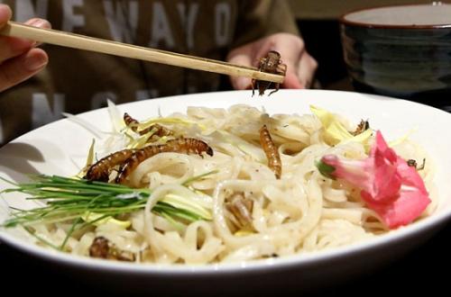 A popular restaurant in Tokyo has introduced gourmet cuisine -- noodles with fried insects .(Photo/Screenshot from CNTV)