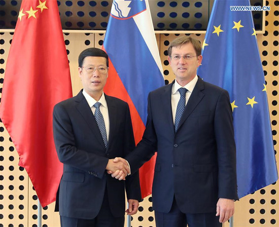 Chinese Vice Premier Zhang Gaoli (L) holds talks with Slovenian Prime Minister Miro Cerar in Ljubljana, Slovenia, April 14, 2017. (Xinhua/Pang Xinglei)