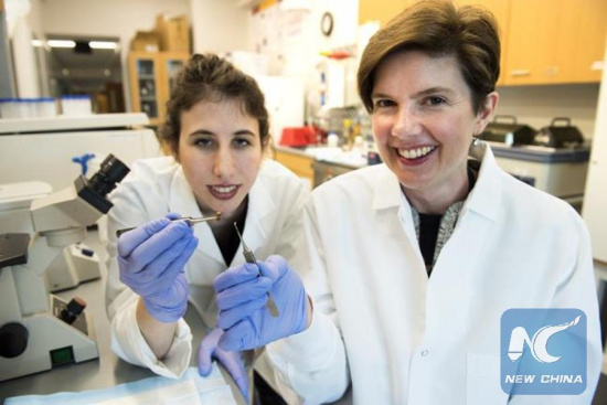 A team of biomedical engineering researchers has created a revolutionary 3D-bioprinted patch that can help heal scarred heart tissue after a heart attack. Two of the researchers involved are biomedical engineering Associate Professor Brenda Ogle (right) and Ph.D. student Molly Kupfer (left). (Xinhua/Credit: Patrick O'Leary, University of Minnesota)