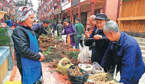 A vendor sells medicinal herbs at a market in Kaili city in Guizhou province. (Photo/Xinhua)