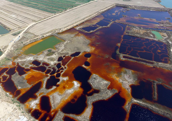 Ponds filled with industrial wasteabout the size of 21 soccer fieldsin Dacheng, Hebei province, have been targeted for cleanup. Photo was taken on Saturday.(Deng Jia/For China Daily)