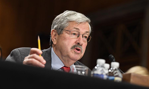 File photo taken on May 2, 2017 shows Iowa Governor Terry Branstad testifying before the U.S. Senate Foreign Relations Committee on a hearing considering him to be U.S. Ambassador to China on Capitol Hill in Washington D.C., the United States. (Xinhua/Bao Dandan)