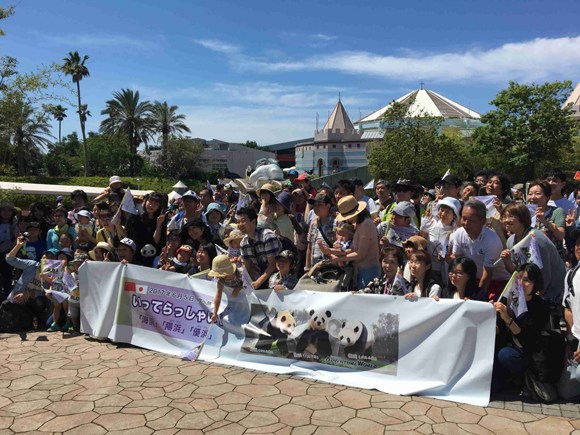 The Adventure World zoo amusement park holds a farewell party for the three giant pandas in Shirahama, Wakayama Prefecture, Japan. (Photo/CGTN)