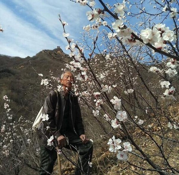 Liu Zonglin patrols a section of the Great Wall near Yushudi village in Chengde, Hebei province.(Photo provided to China Daily)